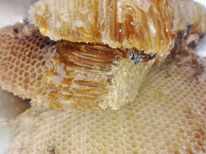 Honigqualität